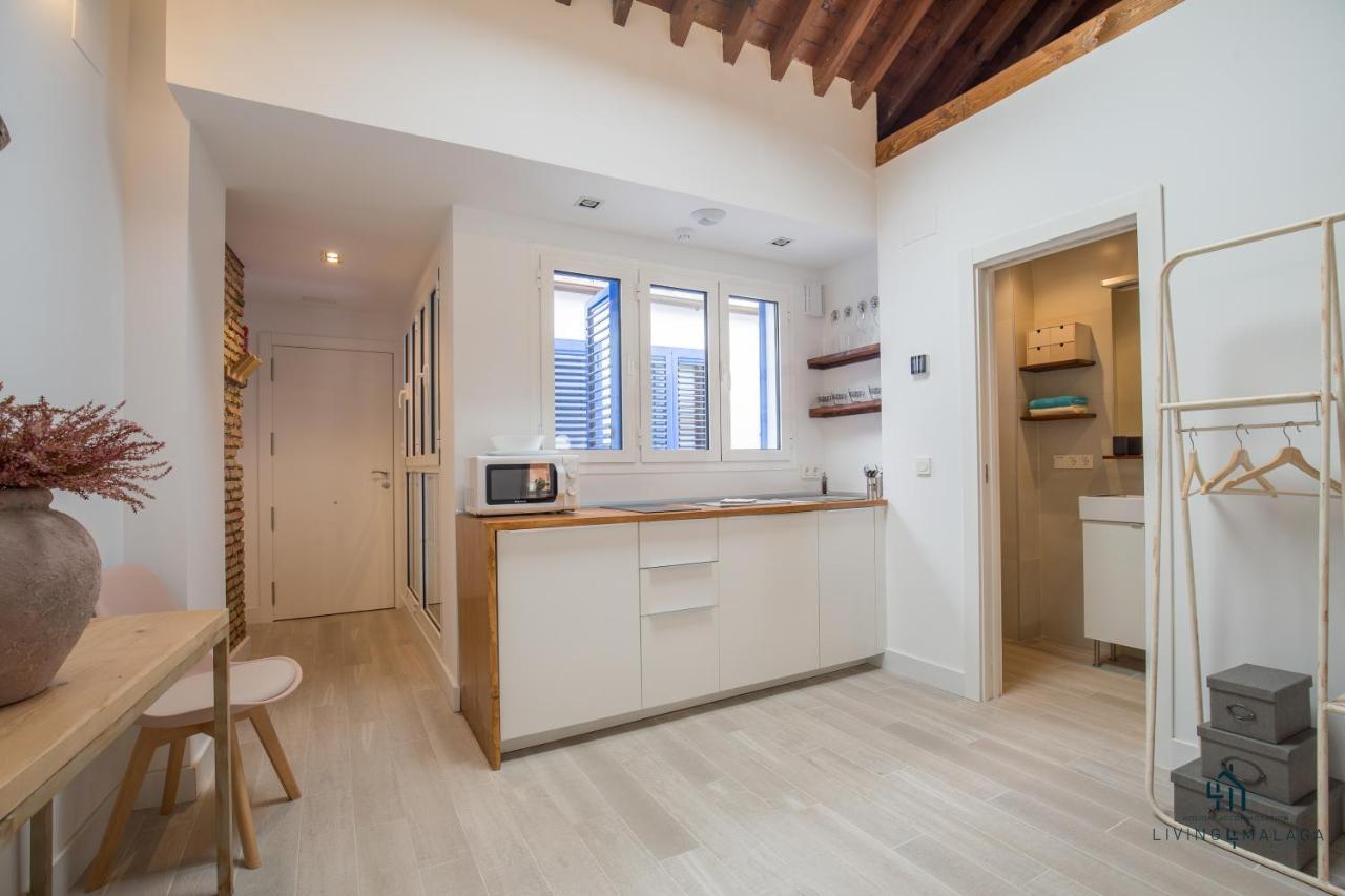Apartment Living4malaga Skyline